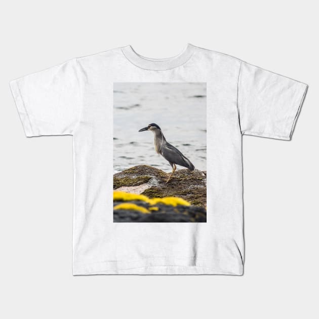 Black-crowned night heron 4 Kids T-Shirt by KensLensDesigns